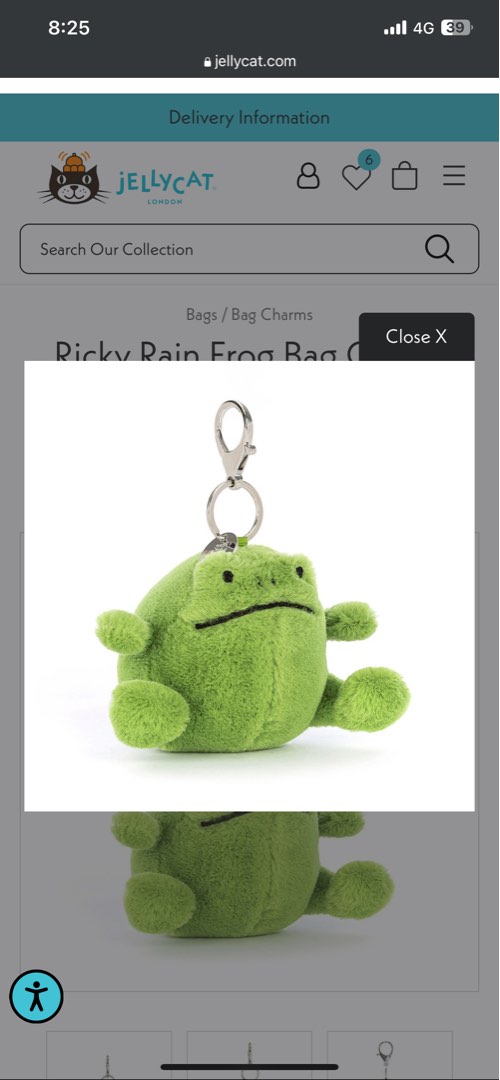 BNWT Ricky Rain Frog Bag Charm, Hobbies & Toys, Toys & Games on Carousell