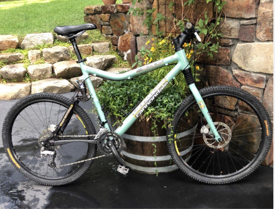 CANNONDALE Scalpel 800 Carousell