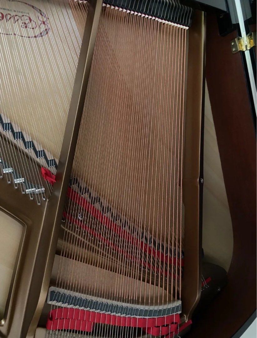 Image 8