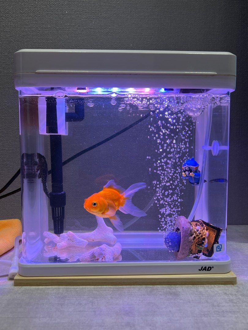 JAD MINI AQUARIUM PUMP FILTER LED LIGHT Pet Supplies Homes