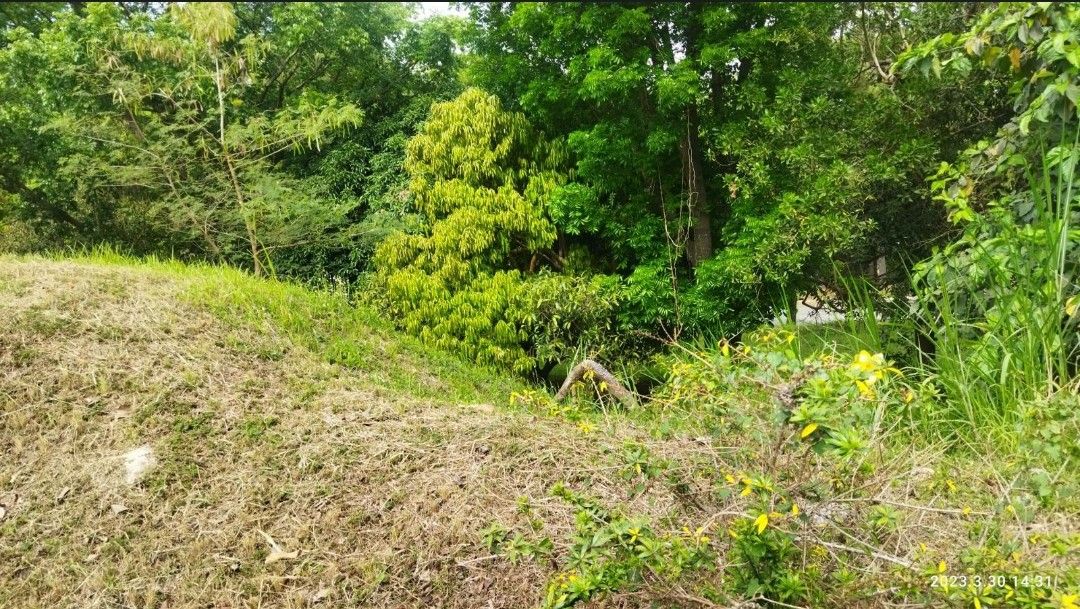 Lot for sale, Canyon Woods Laurel, Batangas on Carousell