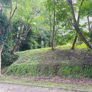 LOT FOR SALE in Ayala Greenfield Estates