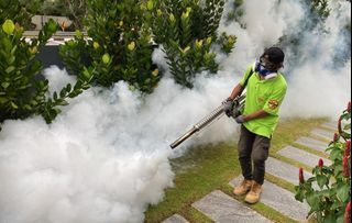 🪳Pest Control Services/🔥Cockroaches removal/🏡 Home pest control/ ⚠️ Pest control Expert/✅ HDB pest control services/🏡 Landed pest control services/🐞 Pest control Removal/🛏 Bed Bugs Removal/🐜 Termites Pest Removal/❌Pest Prevention/‼️24/7 Pest control team