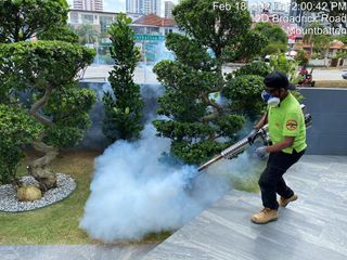 🏆HDB BTO Landed Pest control services/🪳Pest Control Services/🔥Cockroaches removal/ ⚠️ Pest control Expert/🐞 Pest control Removal/🛏 Bed Bugs Removal/🐜 Termites Pest Removal/ Affordable pricing