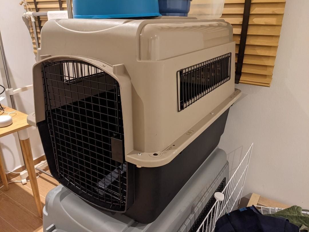 Dog Crate/ Kennel Petmate Sky Kennel (international travel/IATA