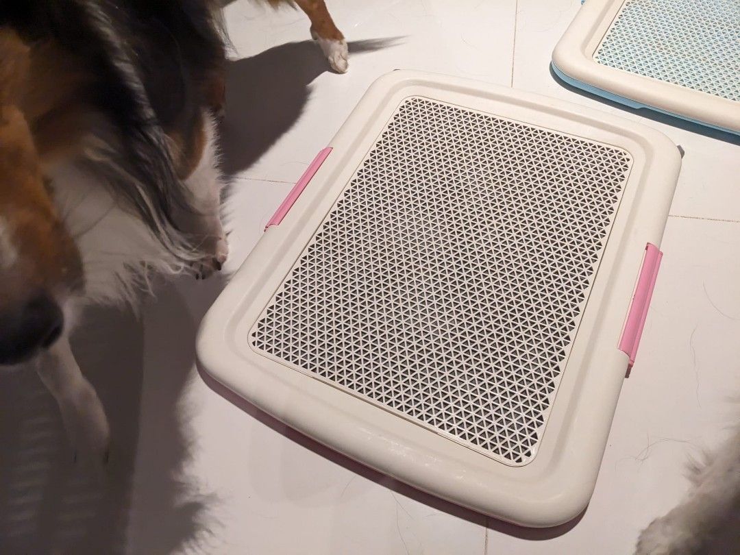 Petmate store kennel tray