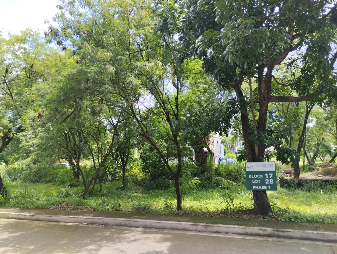 vacant-lot-in-woodridge-heights-beside-loyola-grand-villas-and-la-vista