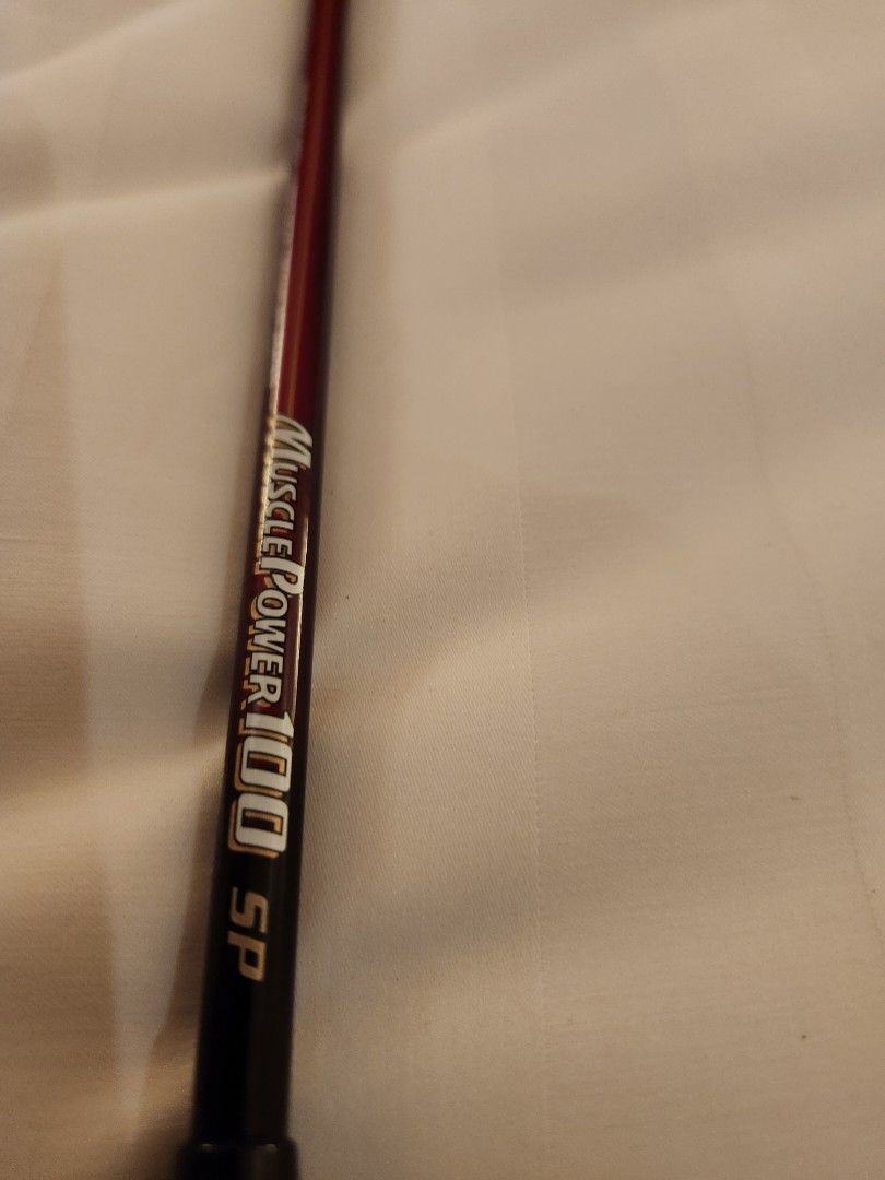 29 スポーツ MUSCLE POWER 100