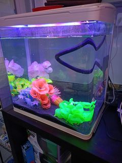(Category: ) located in . Submitted by bestitemhunter (Listing ID 1240649935, Image 1). Description: .