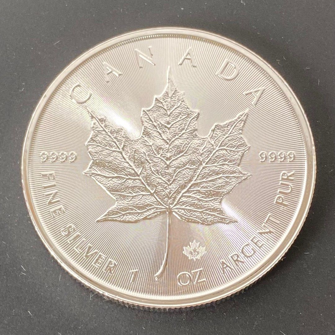 加拿大楓葉銀幣1盎司最後一年英女皇頭像, 女裝, 手錶及配件, 其他飾物- Carousell