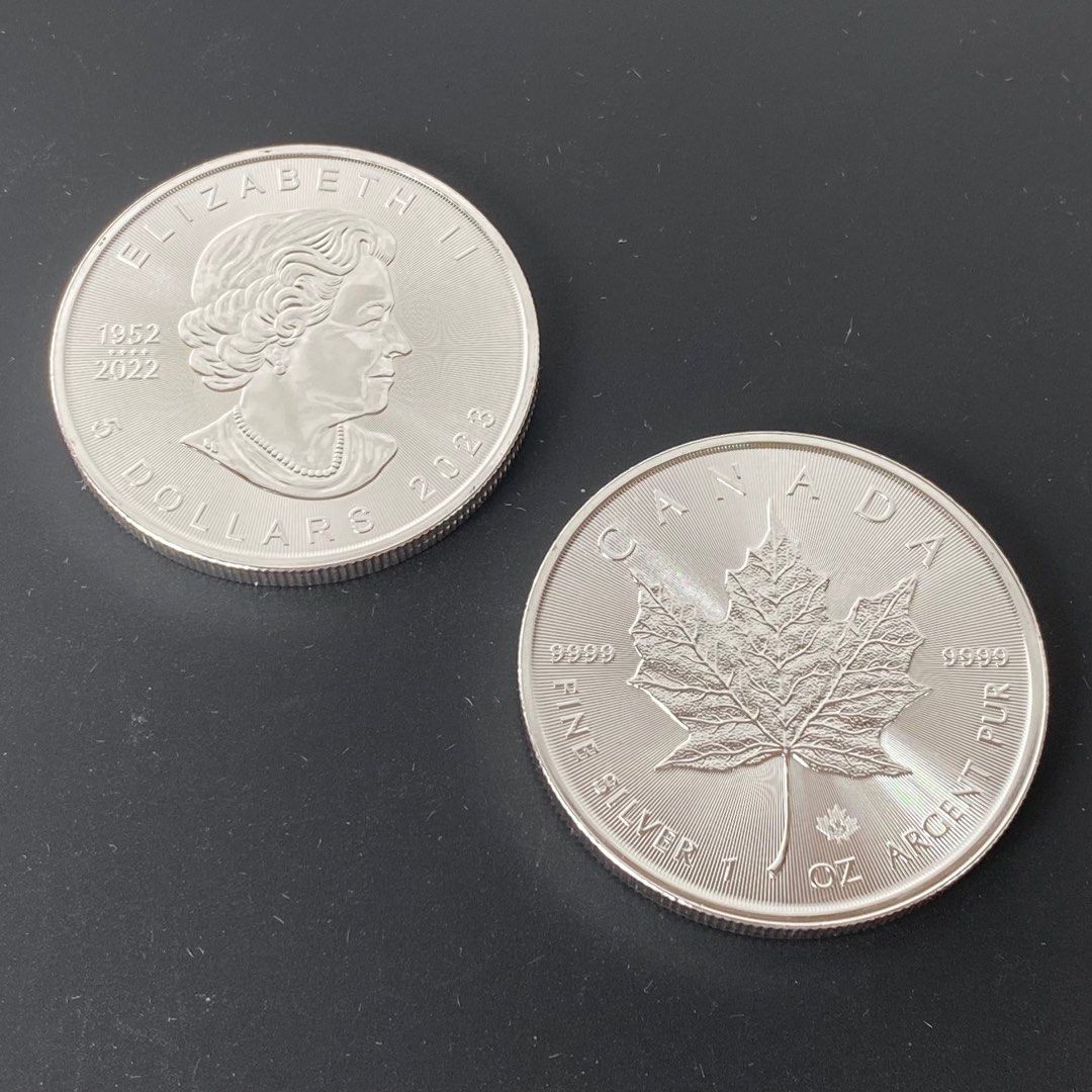 加拿大 25 分 硬币 英文 (99) 사진