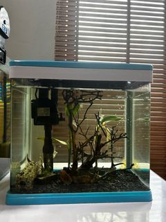 (Category: ) located in . Submitted by dfarhan (Listing ID 1240624236, Image 1). Description: .