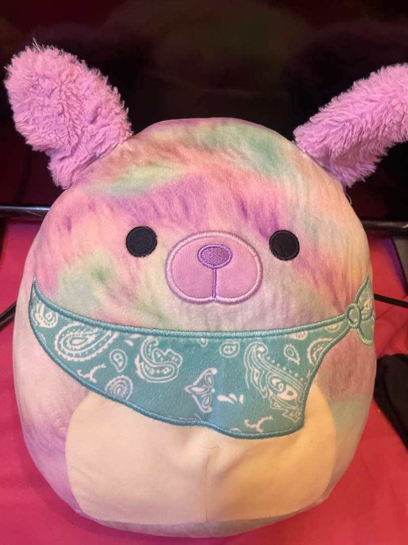 Authentic Tie Dye Bandana Dog ‘Bashira’ Squishmallow Plushie Stuffed Plush Toy, Hobbies & Toys