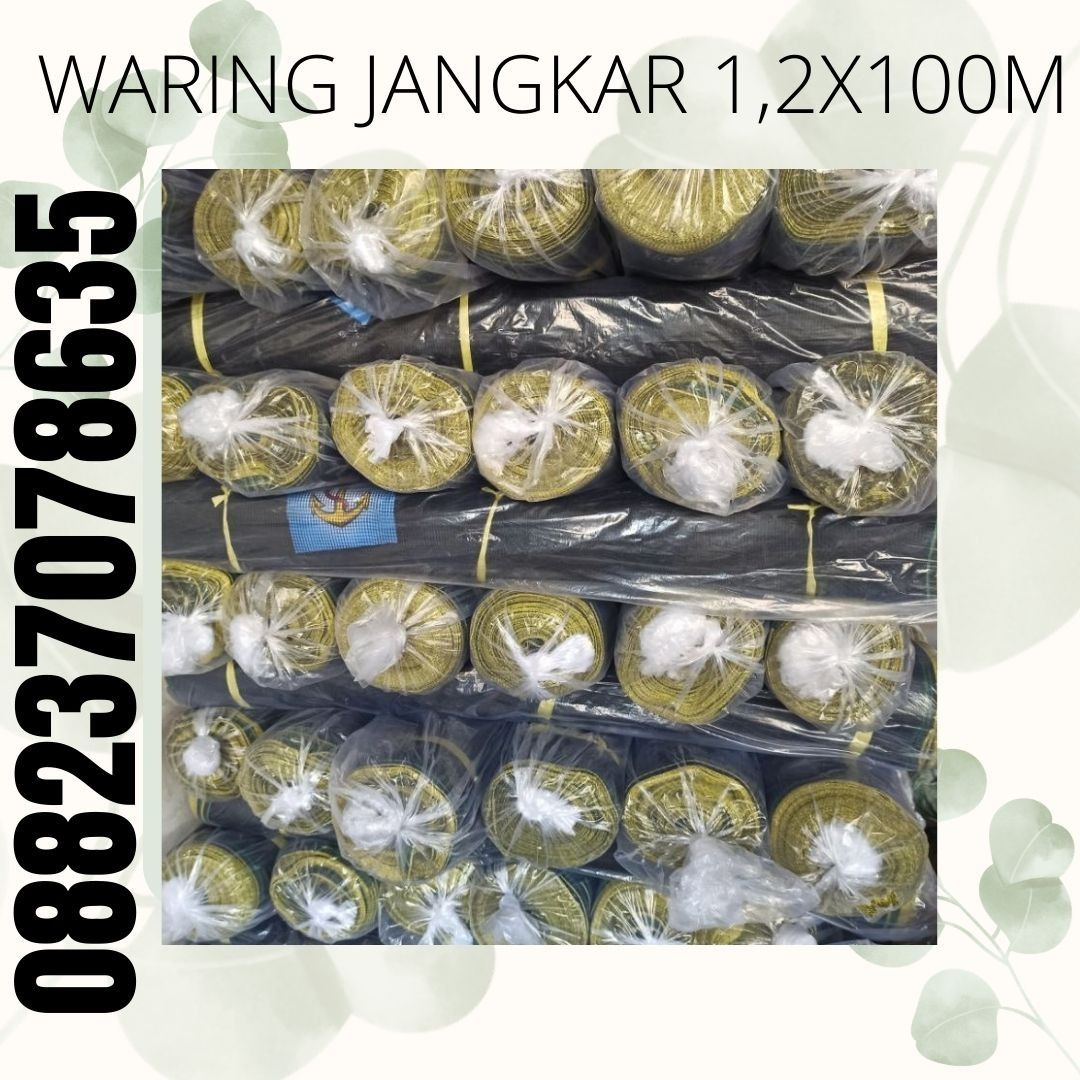 Distributor inti waring ikan Bengkulu, Distributor utama waring ikan