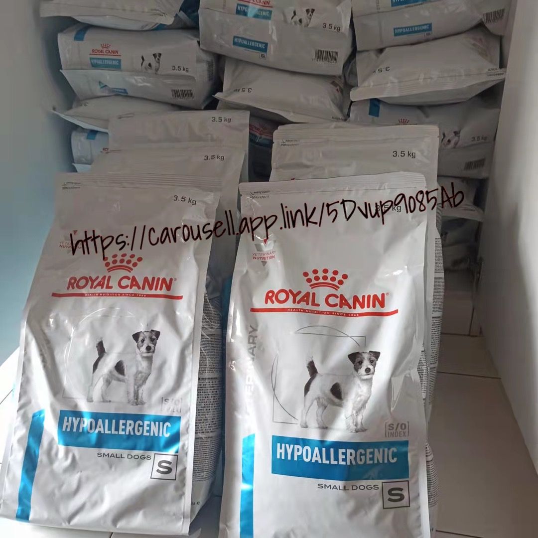 Hypoallergenic royal canin small dog under 10kg sales