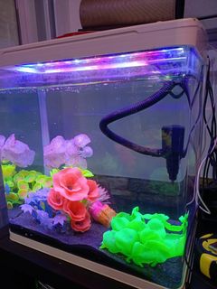 (Category: ) located in . Submitted by edmondlam_ (Listing ID 1240647056, Image 1). Description: .