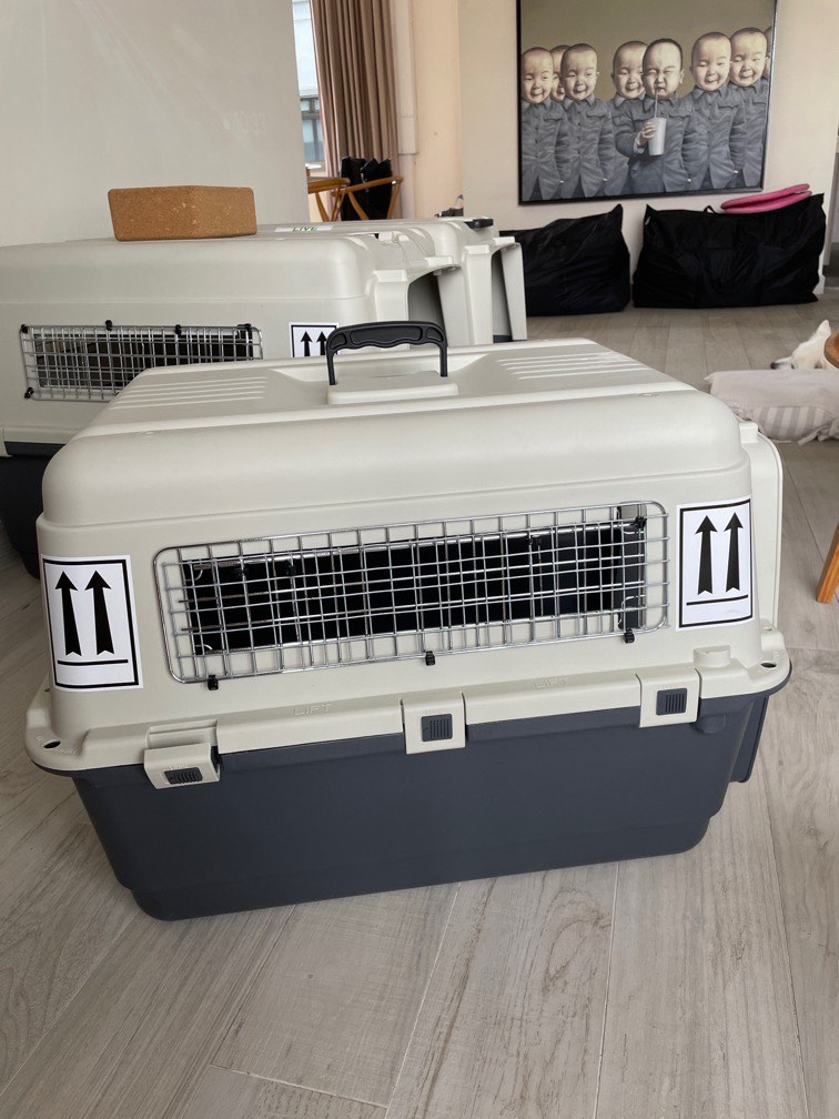 IATA compliant pet crate, Pet Supplies, Homes & Other Pet Accessories