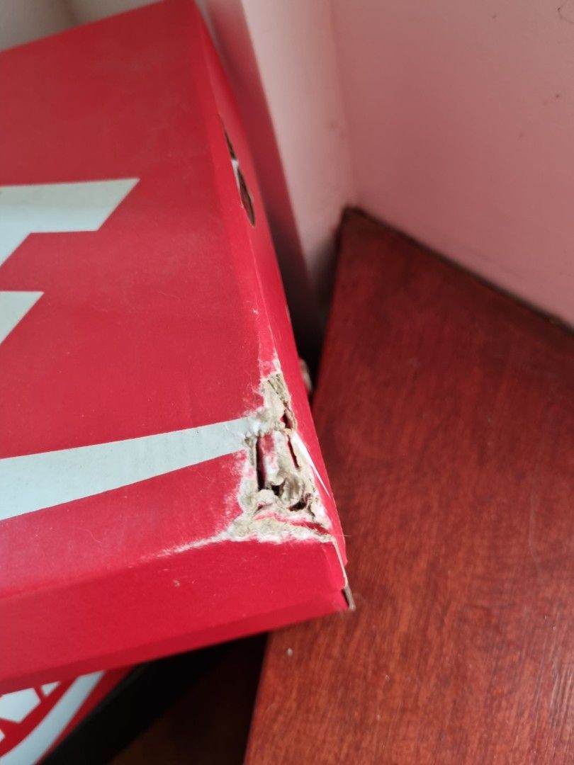 dunk high first use orange