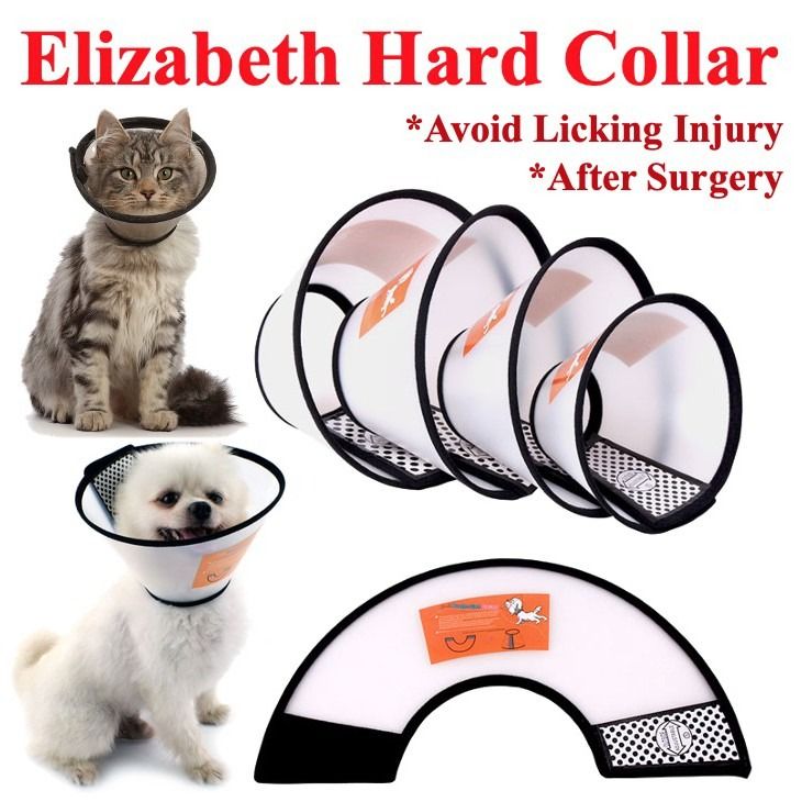 Pet Elizabeth Hard Collar Vet Surgery Collar E Collar Medical