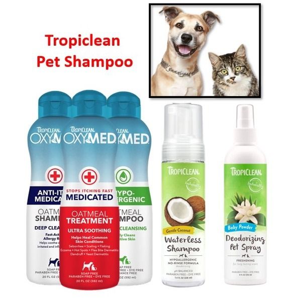 Oxymed on sale dog shampoo
