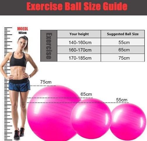 Gorilla sports Gym Ball Fitness Ball Pink 75 cm Pink
