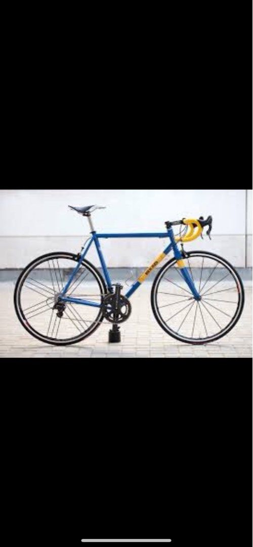 Bixxis Prima Steel Road bike with campy Sports Equipment