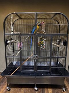 Double Bird Cage (A52)