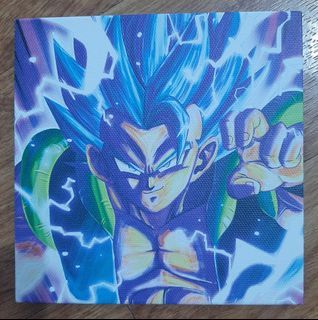 Dragonball merch canvas board (sold separately)