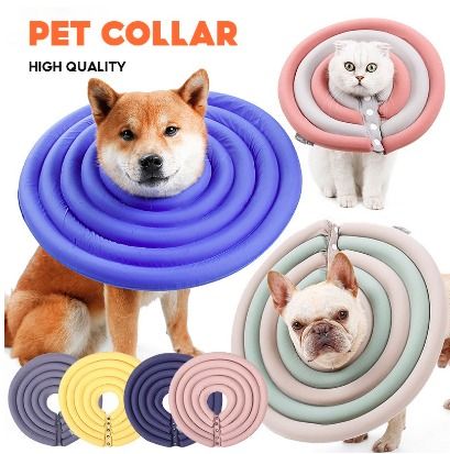 Electronic collar for dogs clearance