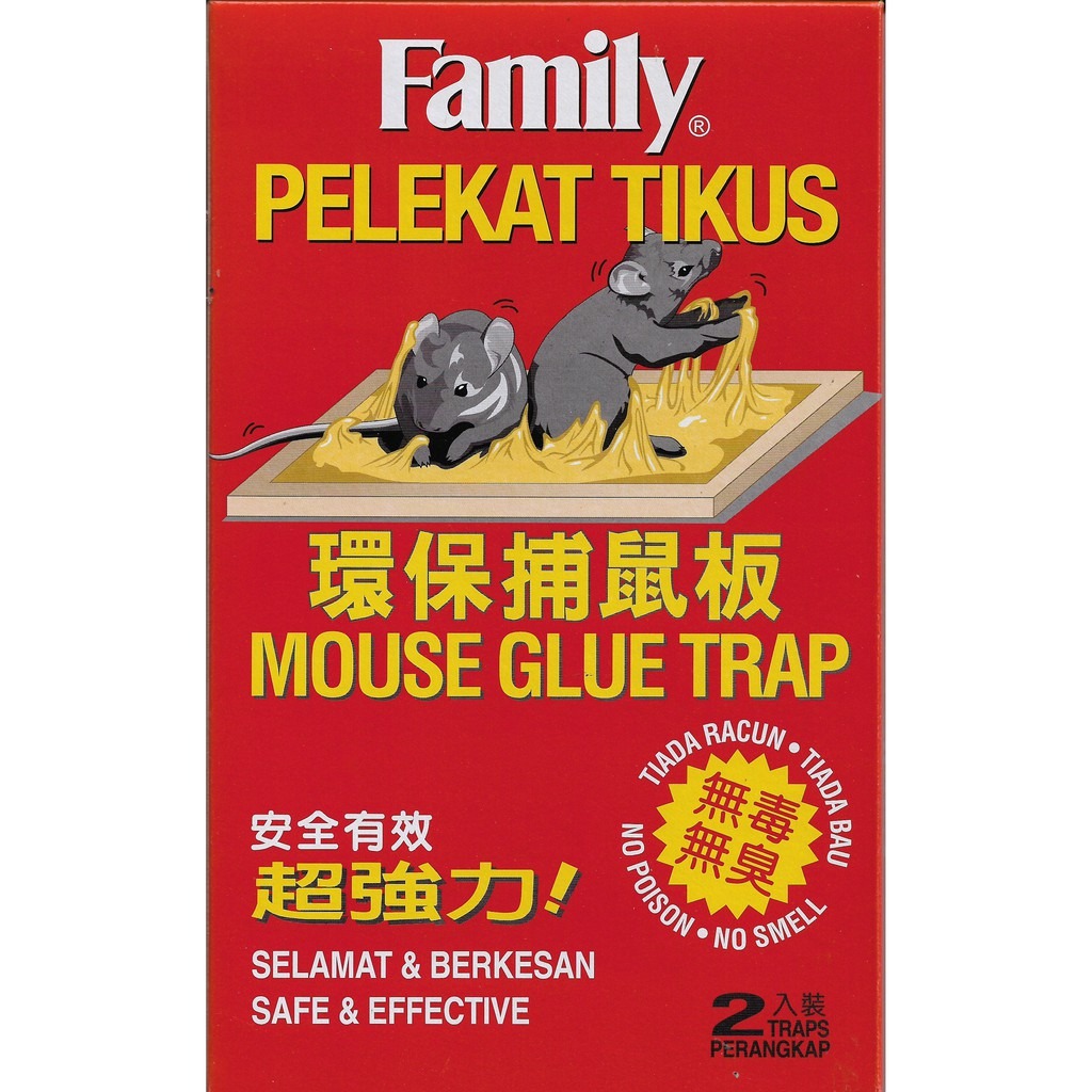 8Pcs Mouse Traps for House Small Mice Trap for Indoor Reusable Rat