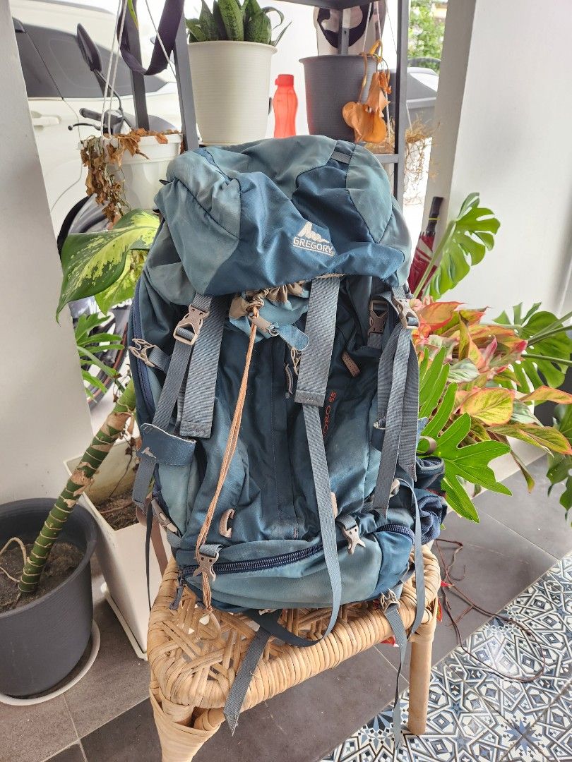 Gregory baltoro shop 65l