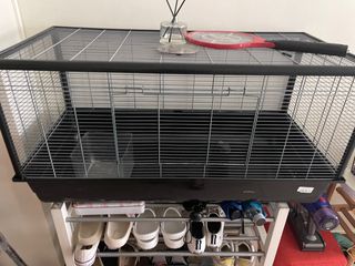 (Category: ) located in . Submitted by jjr21 (Listing ID 1244135247, Image 1). Description: .