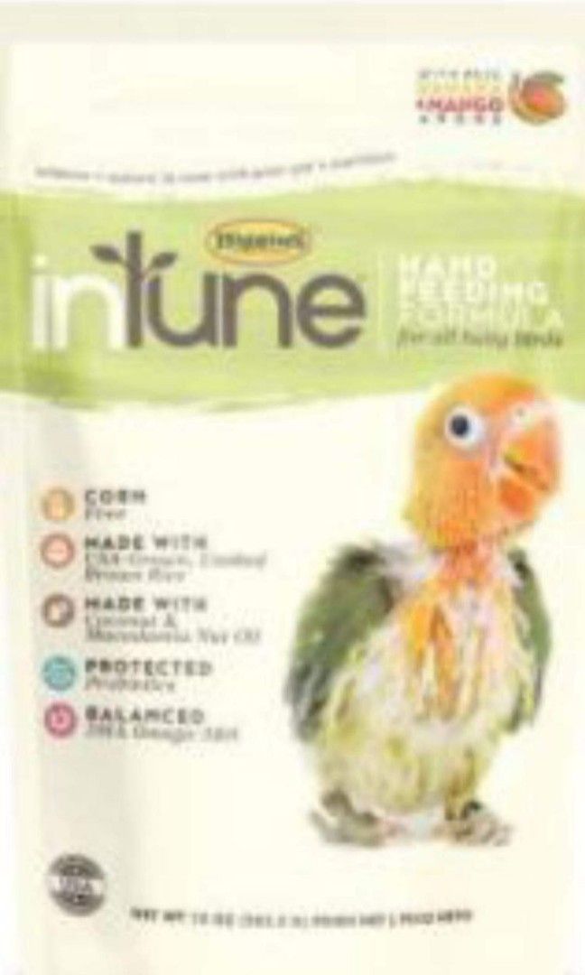 Higgin intune baby bird food pet supplies pet food on carousell