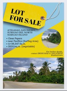 Lot for Sale SIARGAO