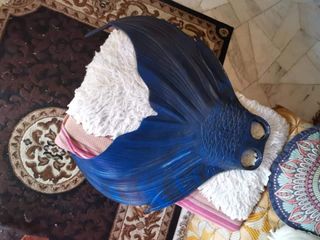 (Category: ) located in . Submitted by merlayu (Listing ID 1244101310, Image 1). Description: .