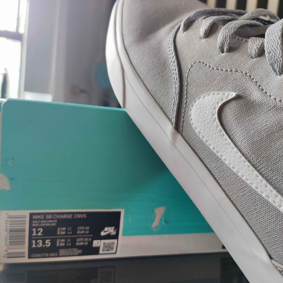 charge canvas nike sb