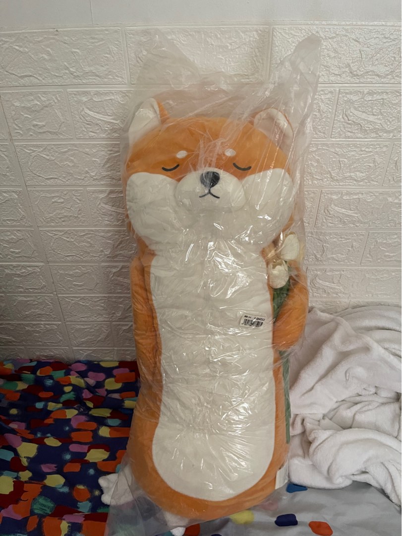 Corgi miniso on sale