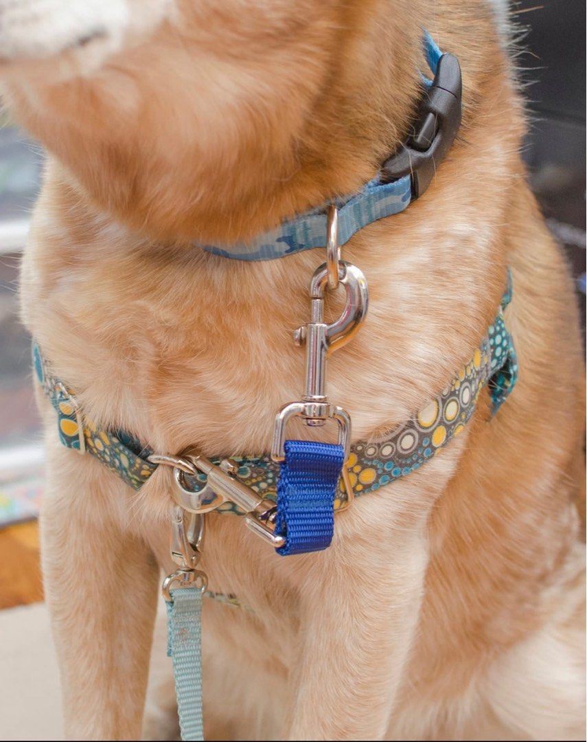 Safety Strap for Dogs Harness Collar Clip Pet Supplies Homes