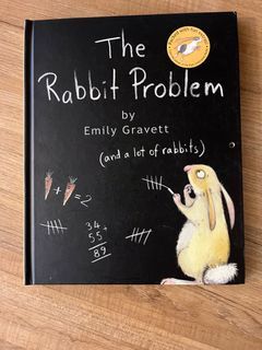 The rabbit problem 立體書