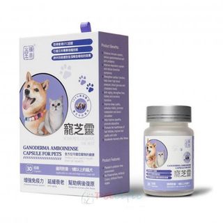 （分類：）位於 。 由 fancynancy911 提交（商品編號 1244448981，圖片 1）。簡介： 。