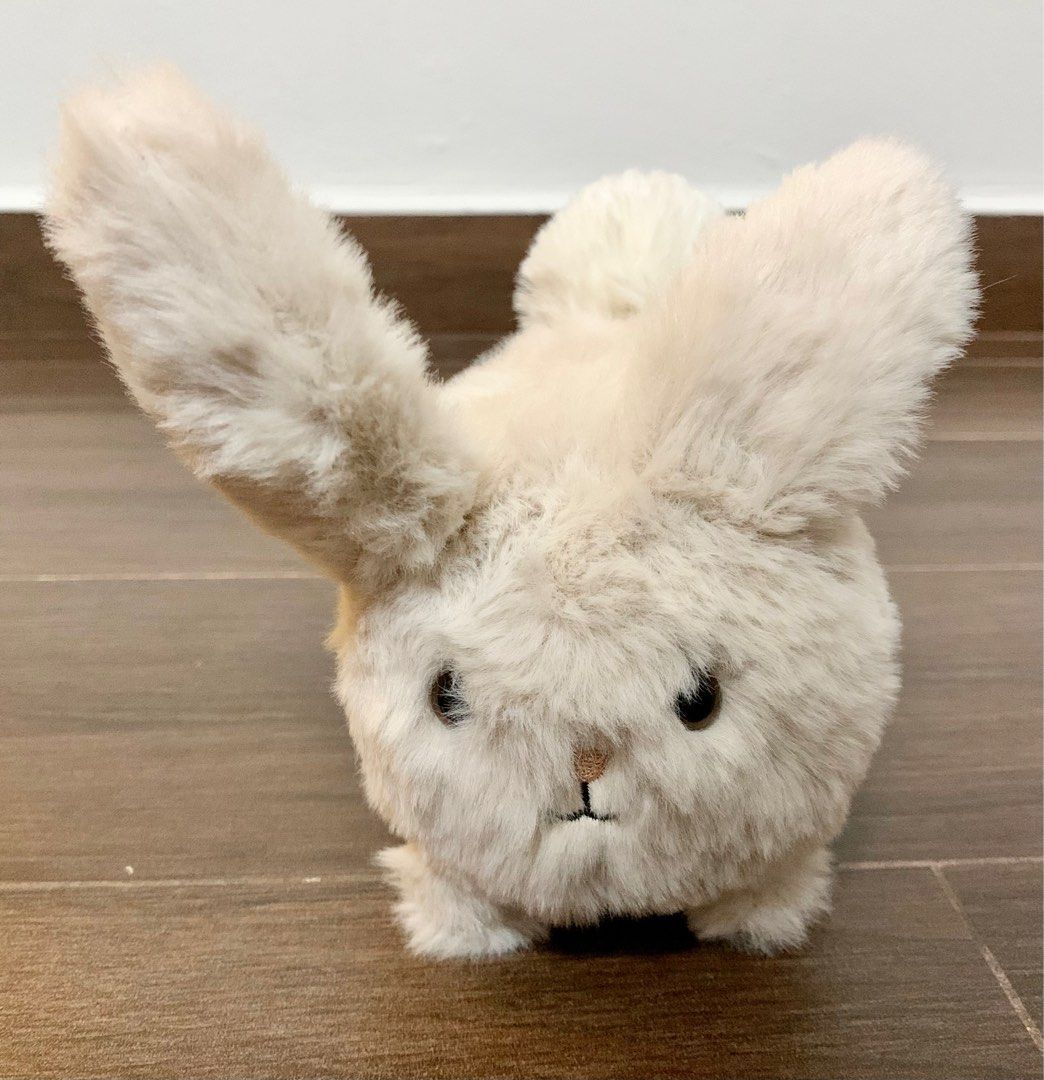 Caboodle Bunny