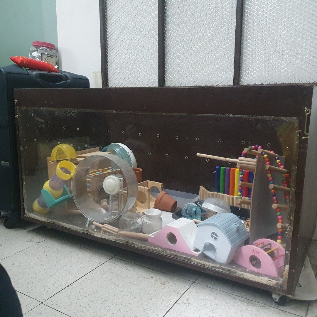 Picture of Complete Hamster Enclosure Set-up, Pet Supplies, Homes & Other Pet ...