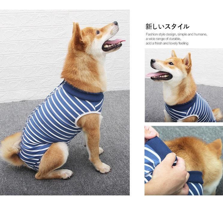 Dog Pants To Prevent Licking For Breeds