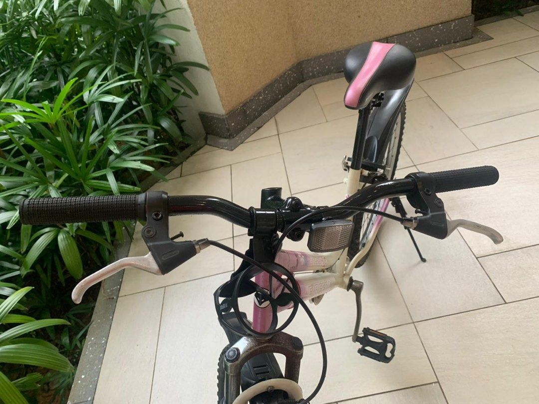 Firefox Cycle, Sports Equipment, Bicycles & Parts, Bicycles on Carousell