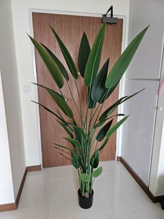 (Category: ) located in . Submitted by user2266 (Listing ID 1244282739, Image 1). Description: .