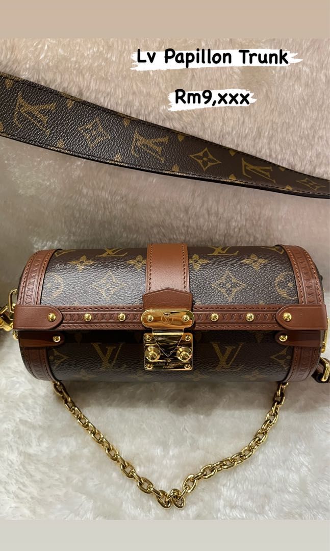 Louis Vuitton Papillon Trunk, Luxury, Bags & Wallets on Carousell