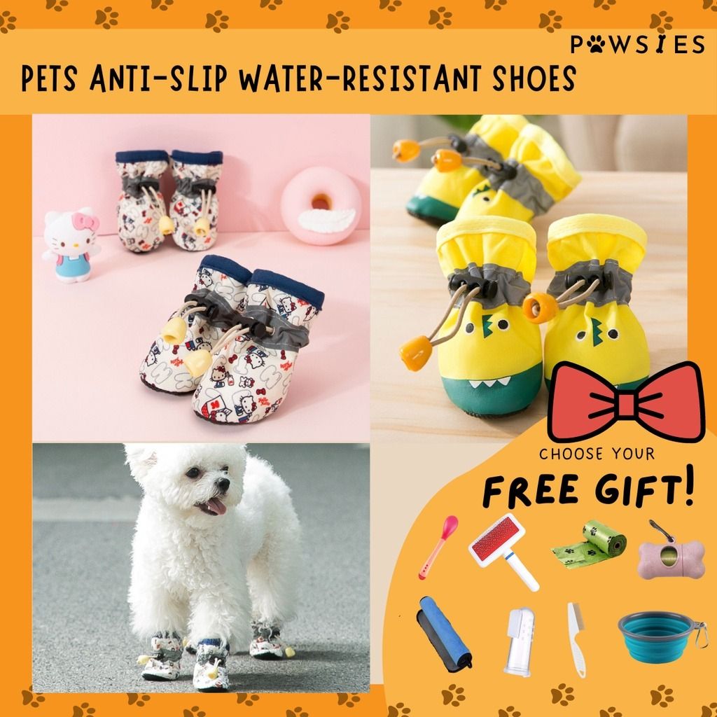 Rain boots for dog walking shop