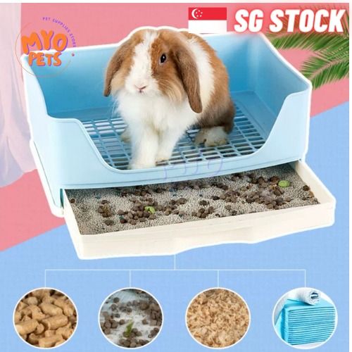 Rabbit Pee Tray Rabbit Pee Pan Rabbit Toilet SB0179 Pet Supplies Homes Other Pet Accessories on Carousell