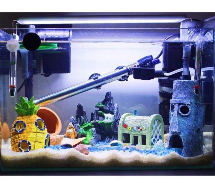 SpongeBob fish tank set, Pet Supplies, Homes & Other Pet Accessories on