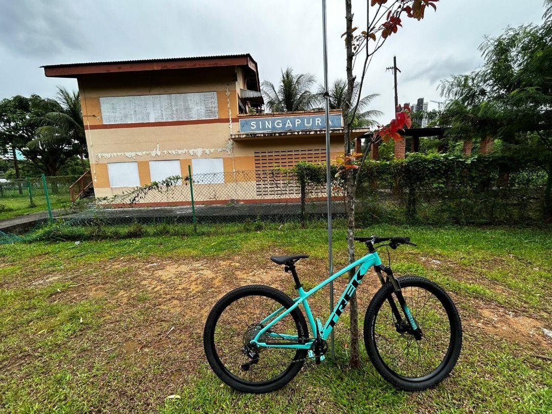 Trek marlin 2025 7 miami green